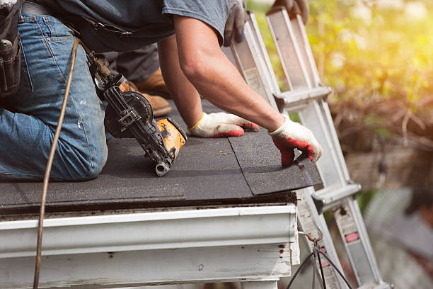 Roof Gutter Cleaning in Mountain Home, AR